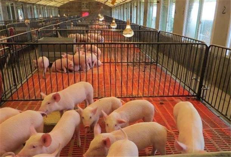 吸糞吸污車從根本上解決牲畜和家禽的糞便惡臭問(wèn)題